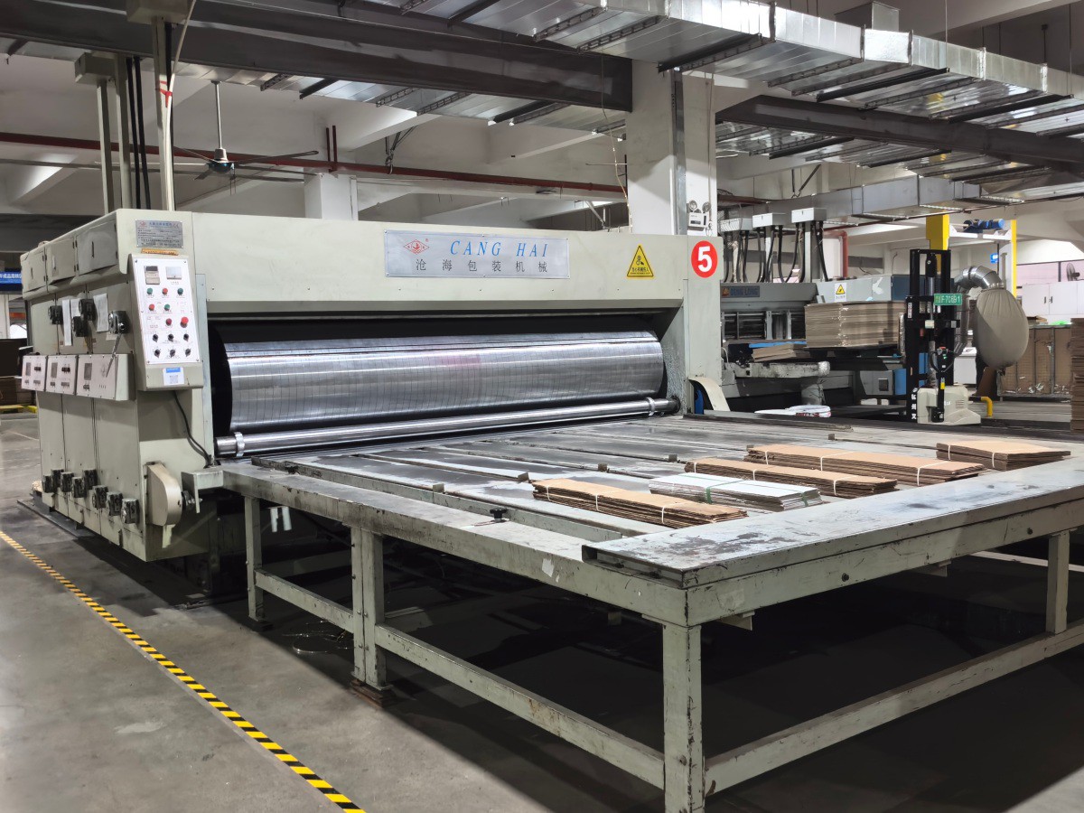 IMG20251117163944 IMG20251117163944